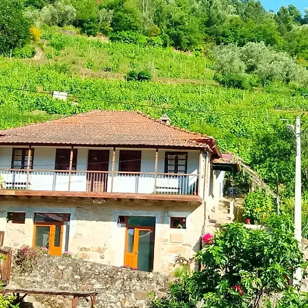 D. Maria Sao Pedro De Balsemao * Lamego