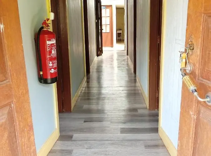 컨트리하우스 D. Maria Sao Pedro De Balsemao *