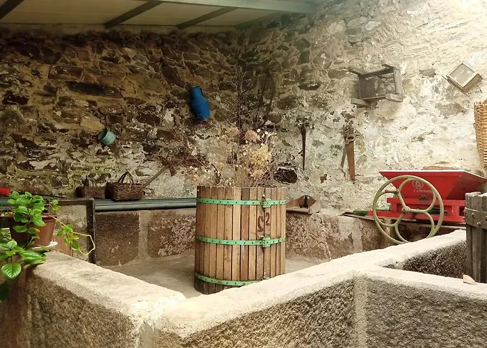 D. Maria Sao Pedro De Balsemao 컨트리하우스 *