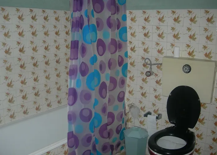 컨트리하우스 D. Maria Sao Pedro De Balsemao *